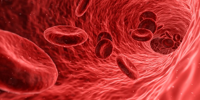 krwinki krwi