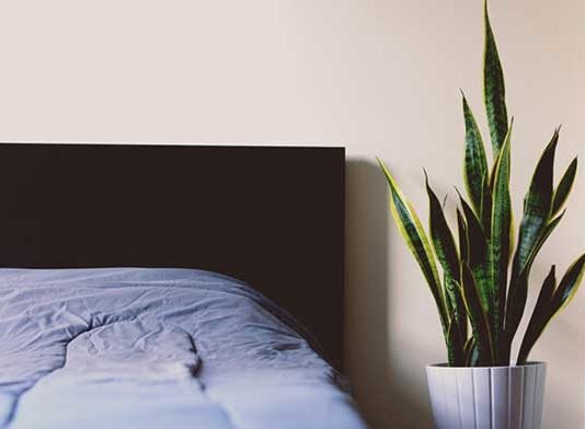 Czym jest hotelarstwo