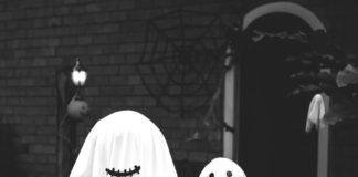 jakie polecacie horrory