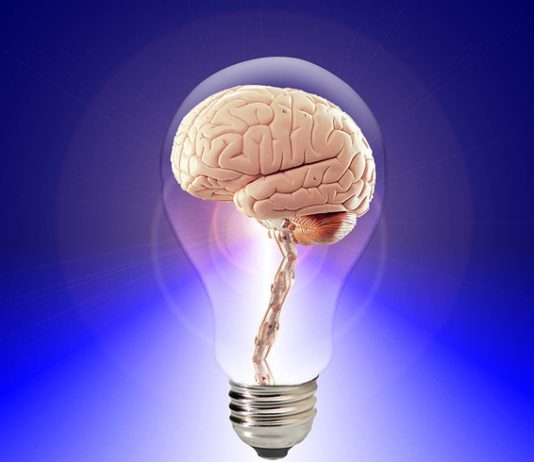 jak ćwiczyć pamięć