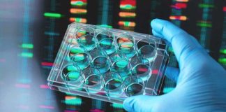 Czym jest badanie AMH?