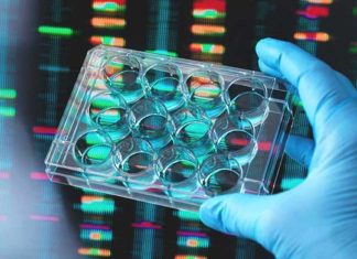 Czym jest badanie AMH?