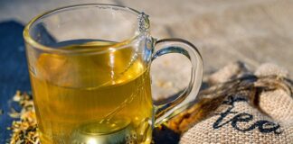 Zielona herbata - jakie ma właściwości?