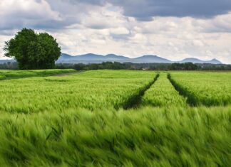 Jaki jest rozstaw śrub w Audi A3 8P?