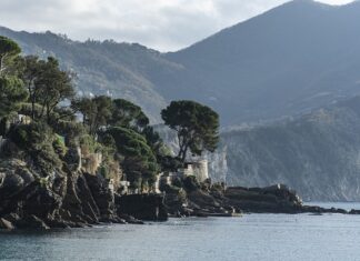 Ile kosztuje wymiana kolektora ssącego?