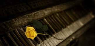 Jak znaleźć zgubione klucze od samochodu?