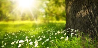 Co dają lekkie felgi?