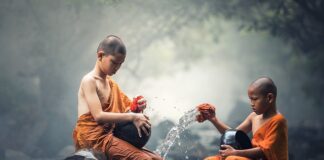 Jaki środek do czyszczenia EGR?