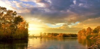 Jak działa Koło pasowe wału korbowego?