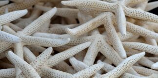 Jak naprawić kolektor dolotowy?