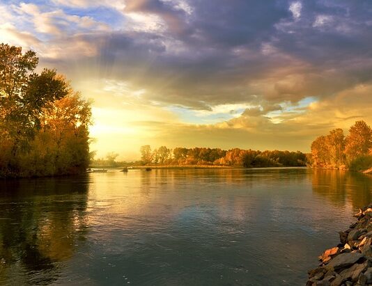 Jak wyciszyć koło dwumasowe?