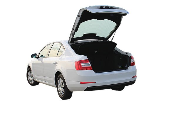 Co to jest Skoda Connect? Co to jest Skoda Connect?