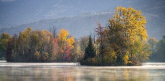 Jaki gres jest lepszy?