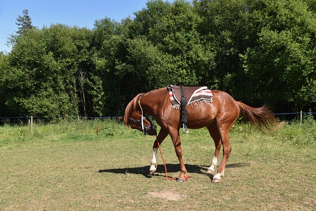 Gdzie montować Śniegołapy? Gdzie montować Śniegołapy?
