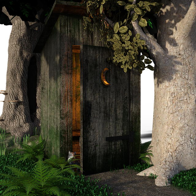 Ile kosztuje najdroższy kibel na świecie? Ile kosztuje najdroższy kibel na świecie?