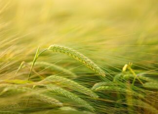 Jak przyciąć listwę pod kątem 45 stopni?