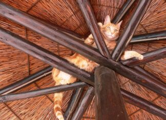 Jak głęboko zaciąć krokwie?