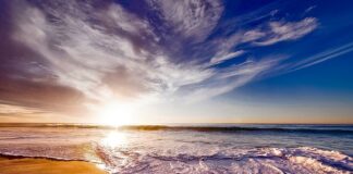 Ile kosztuje pianka do pistoletu?