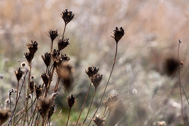 Jaki jest czas schnięcia silikonu? Jaki jest czas schnięcia silikonu?