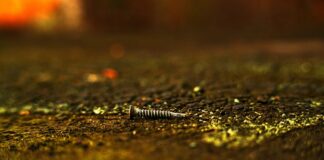 Ile kosztuje Wkręt farmerski?