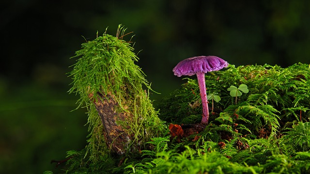 Jak rozcieńczyć farbę do malowania pistoletem? Jak rozcieńczyć farbę do malowania pistoletem?