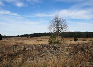 Kiedy woda w kiblu się podnosi?