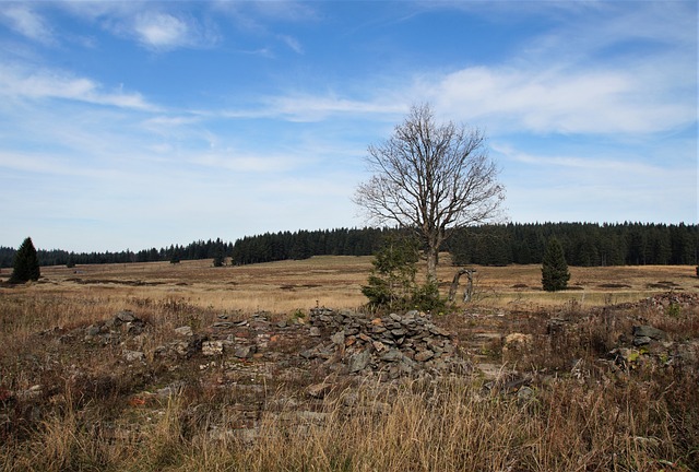 Kiedy woda w kiblu się podnosi? Kiedy woda w kiblu się podnosi?