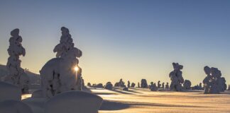 Jak obliczyć dopuszczalne obciążenie regału?