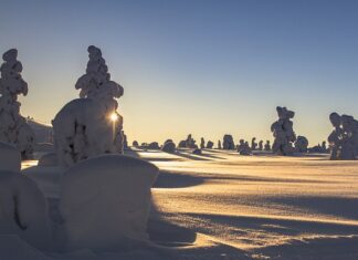 Jak obliczyć dopuszczalne obciążenie regału?