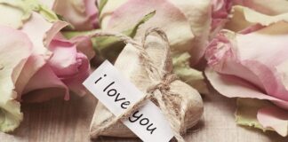 Czym się tnie cegłę?