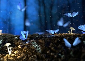 Czym ciąć drewno na plastry?