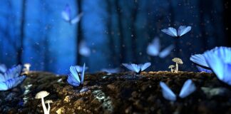 Jak ciąć drewno na piłę stołowej?