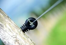 Ile procent Polaków nie ma toalety w domu? Ile procent Polaków nie ma toalety w domu?