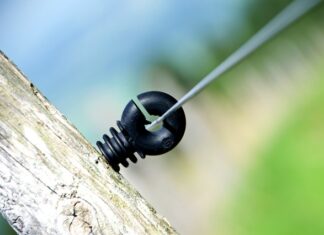 Ile procent Polaków nie ma toalety w domu?