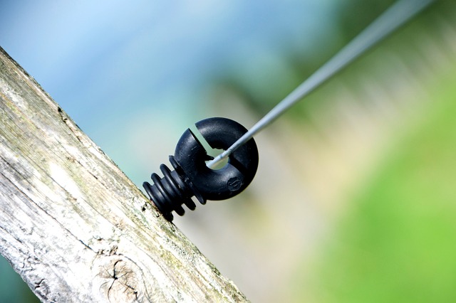 Ile procent Polaków nie ma toalety w domu? Ile procent Polaków nie ma toalety w domu?