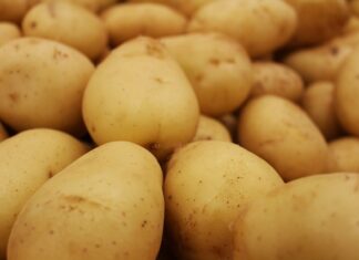 Czy piłę Widiowa się ostrzy?