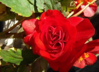 Czy ukośnica można ciąć płytki?